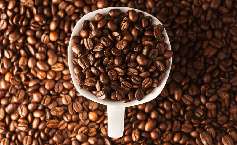 Café Barato Pode Ser Bom? A Verdade Que Ninguém Te Conta Sobre o Que Está na Sua Xícara